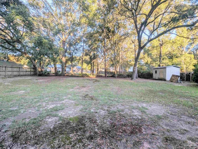 view of yard featuring a storage unit