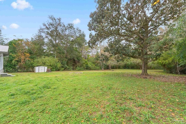 view of yard with a storage shed