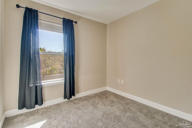 spare room featuring carpet and a healthy amount of sunlight