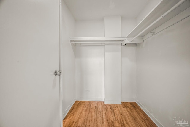 spacious closet with light wood-style floors