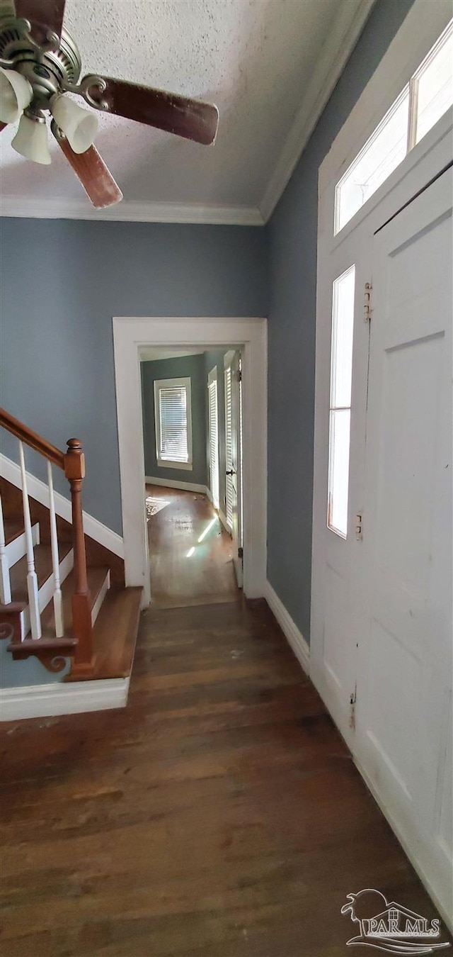 foyer entrance with ornamental molding, ceiling fan, and dark hardwood / wood-style floors