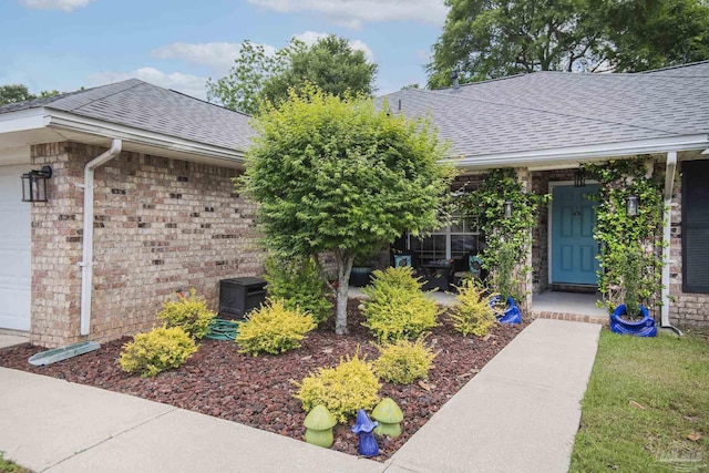 doorway to property with roof with shingles and brick siding