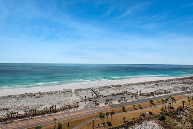 water view featuring a beach view