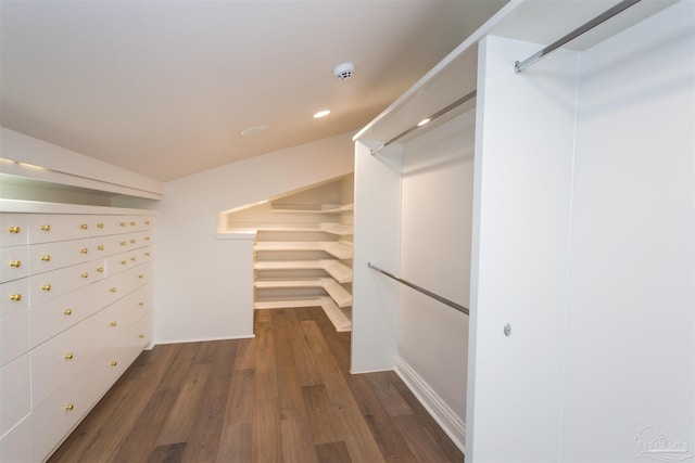 walk in closet with dark hardwood / wood-style floors