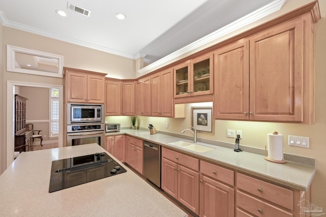 kitchen with visible vents, a sink, stainless steel appliances, crown molding, and light countertops