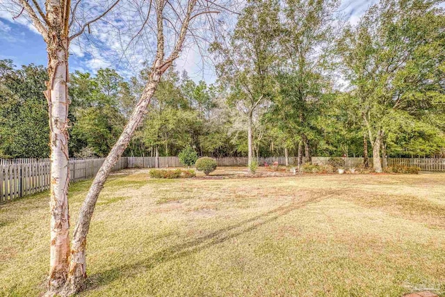 view of yard with a fenced backyard