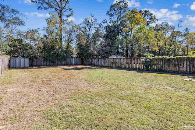 view of yard featuring a shed