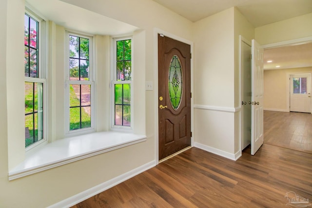 foyer featuring dark hardwood / wood-style flooring and a wealth of natural light