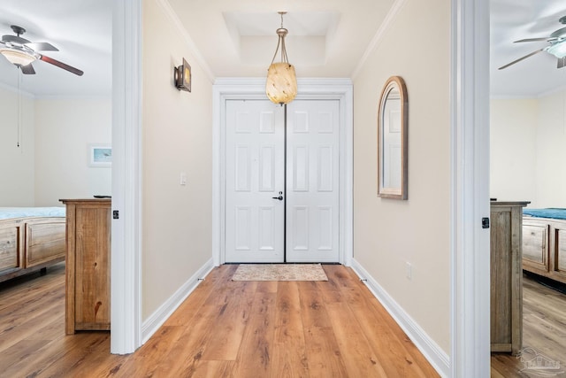 foyer with a tray ceiling, ornamental molding, ceiling fan, and light wood-type flooring