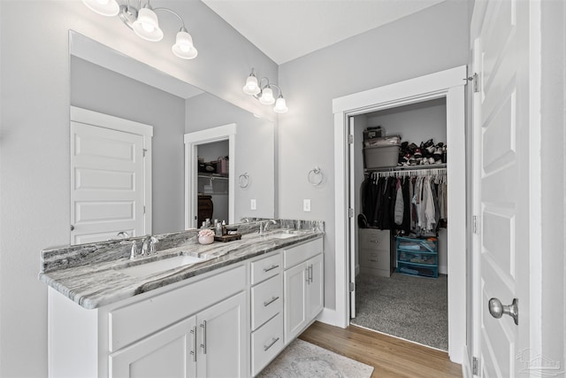 1223 Fenwick Ct, Cantonment, FL 32533 - bathroom featuring double vanity, a spacious closet, and wood finished floors