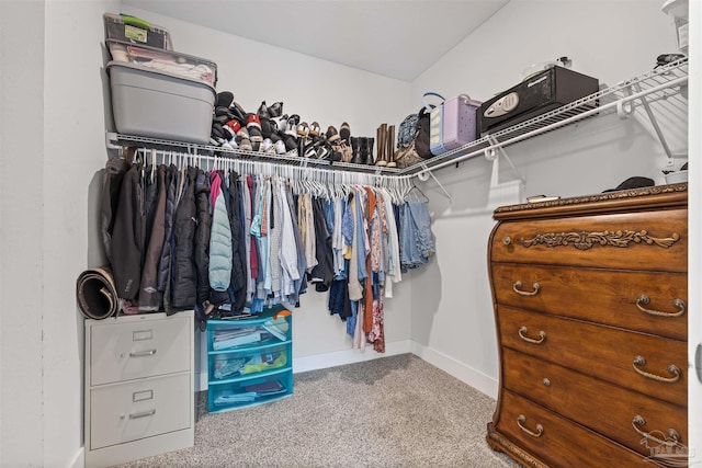 1223 Fenwick Ct, Cantonment, FL 32533 - spacious closet with carpet