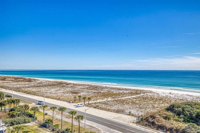 property view of water featuring a beach view