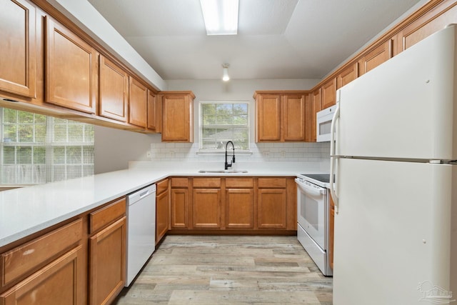 kitchen featuring light hardwood / wood-style flooring, white appliances, backsplash, and sink