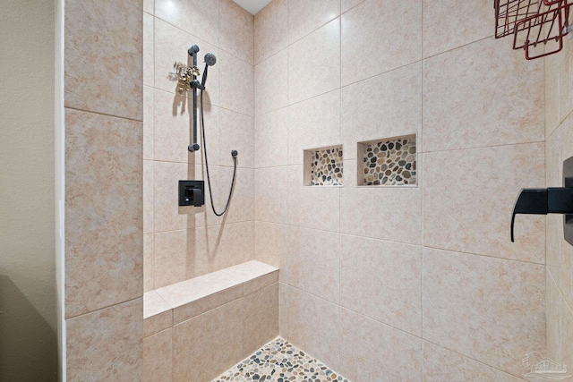 6781 Generals Ln, Pace, FL 32571 - full bath with tiled shower