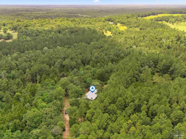 6781 Generals Ln, Pace, FL 32571 - aerial view of a heavily wooded area