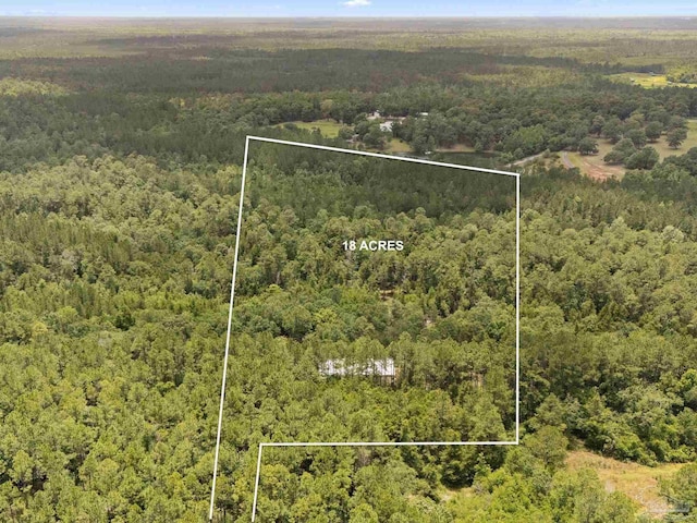 6781 Generals Ln, Pace, FL 32571 - view of property location with property parcel outlined