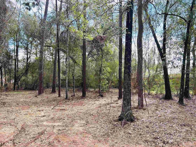 view of landscape featuring a wooded view