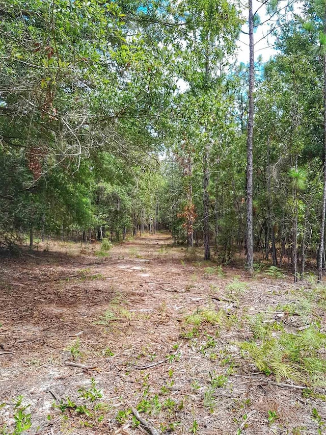 PARCELB-2 Wildlife Rd, Harold FL, 32564 land for sale