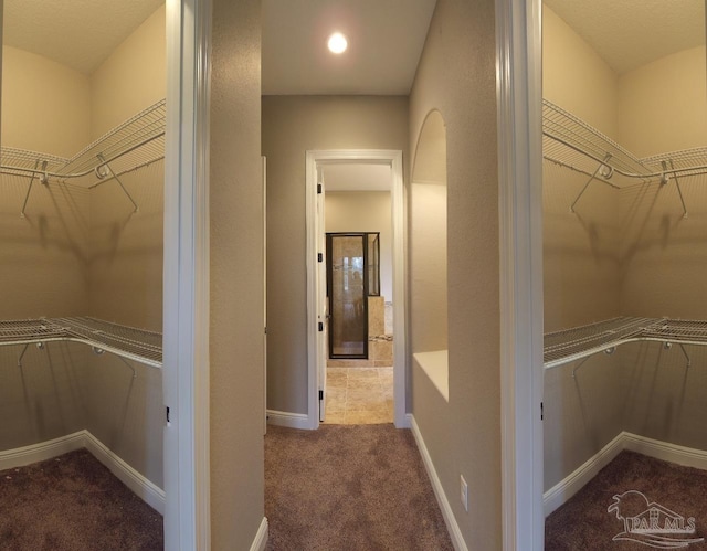 walk in closet with carpet floors