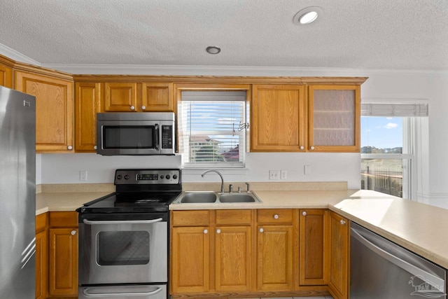 kitchen featuring appliances with stainless steel finishes, sink, crown molding, and a textured ceiling