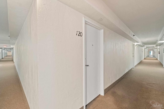 hallway featuring carpet flooring