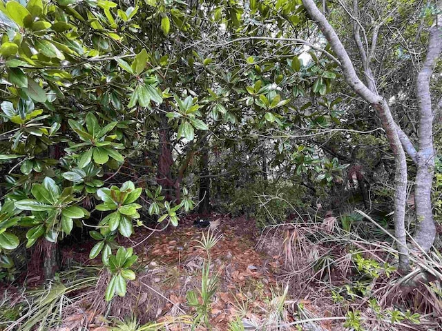 1349 Dubose Rd, Gulf Breeze, FL 32563
