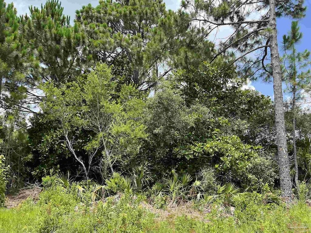 1349 Dubose Rd, Gulf Breeze, FL 32563