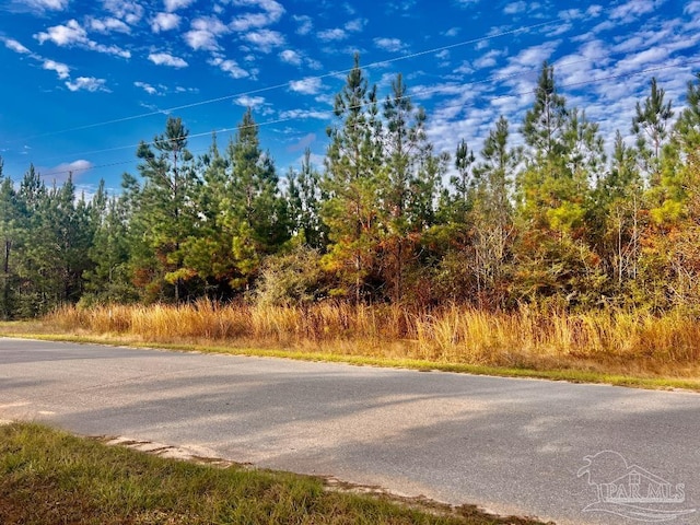 Listing photo 2 for LOT16MBN Molino Bridge Rd, Pace FL 32571