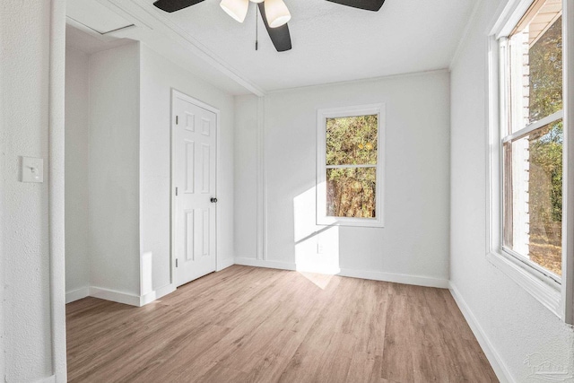 unfurnished bedroom featuring ornamental molding, ceiling fan, and light hardwood / wood-style floors