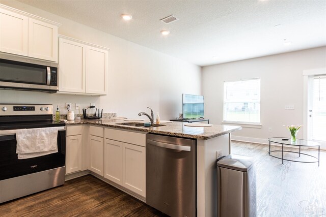 kitchen featuring stainless steel appliances, stone counters, sink, dark hardwood / wood-style floors, and kitchen peninsula