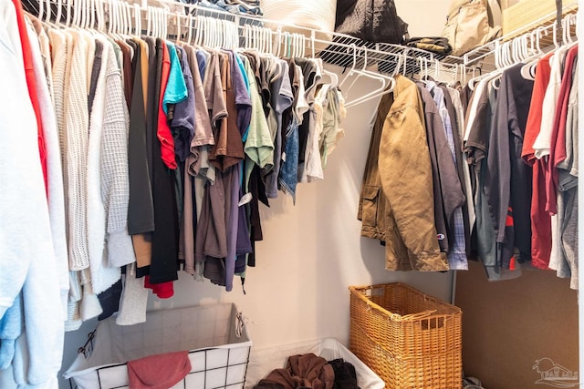 view of walk in closet