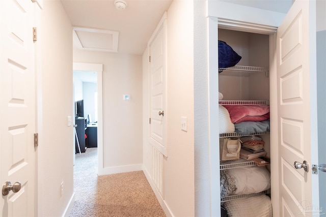 hallway with carpet floors