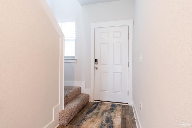 entryway with wood-type flooring