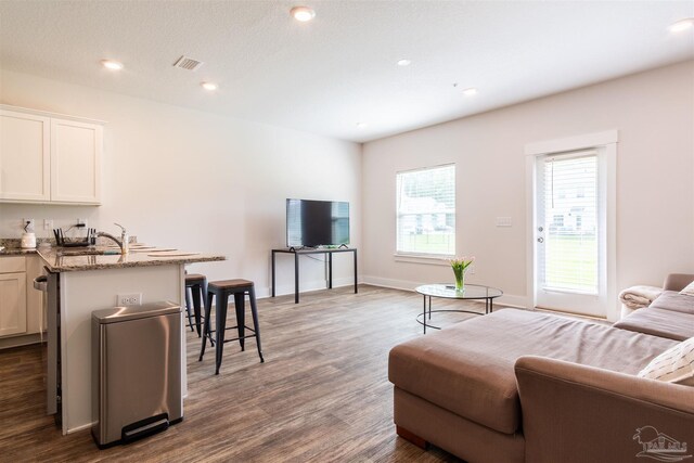 living room featuring sink, a wealth of natural light, and hardwood / wood-style flooring