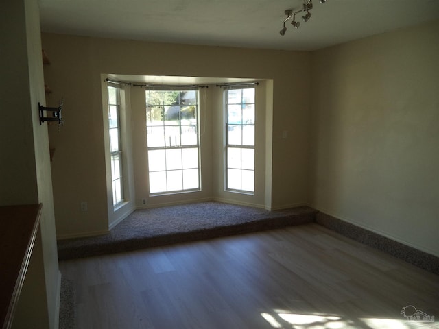 empty room with a wealth of natural light and hardwood / wood-style flooring