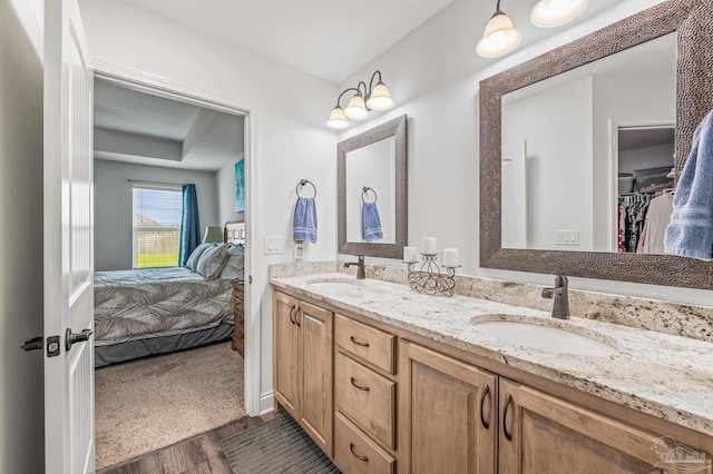 bathroom featuring a sink, a spacious closet, double vanity, and wood finished floors