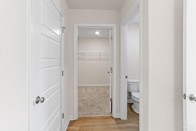 hallway with light wood-style flooring