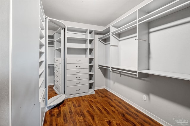 spacious closet featuring dark hardwood / wood-style floors