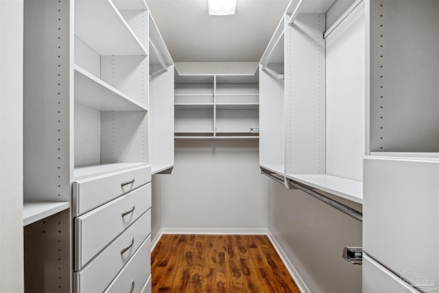 spacious closet with dark hardwood / wood-style flooring