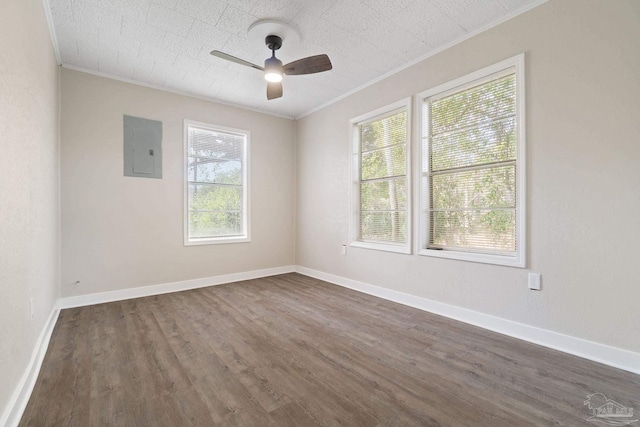 spare room with crown molding, dark wood-type flooring, electric panel, and ceiling fan