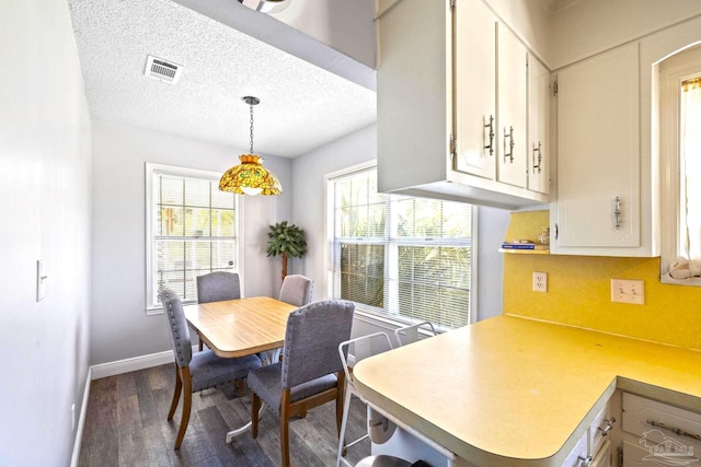 941 Summer Shade Ln, Cantonment, FL 32533 - dining room featuring dark wood-style floors, plenty of natural light, baseboards, and a textured ceiling