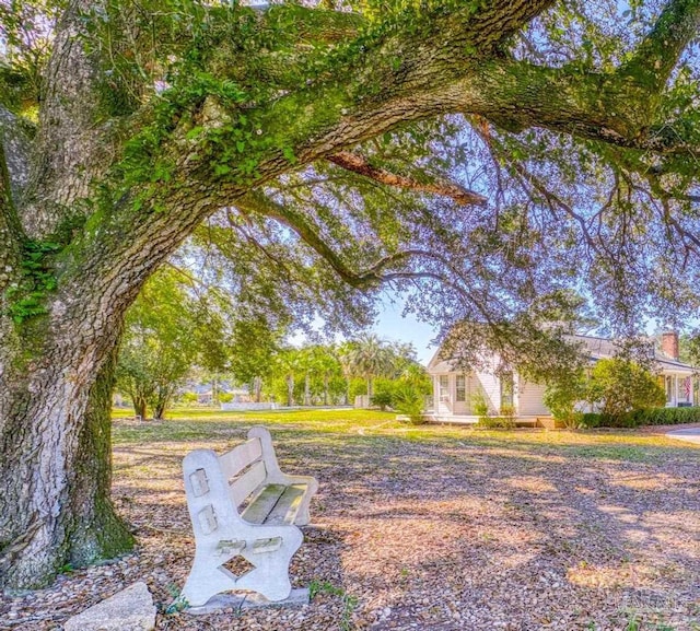 941 Summer Shade Ln, Cantonment, FL 32533 - view of yard