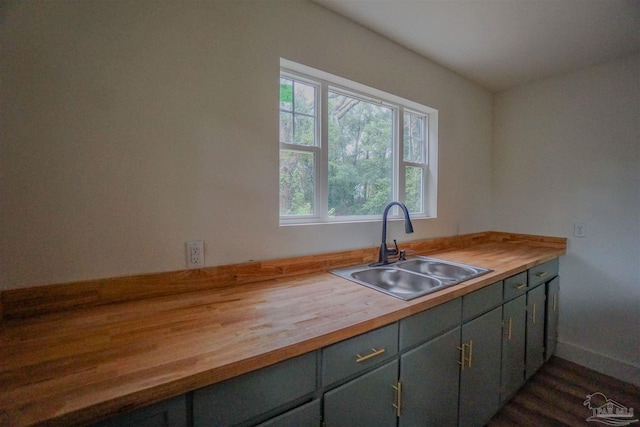 kitchen featuring dark hardwood / wood-style flooring, sink, and butcher block counters