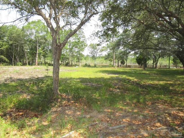 5816 Shady Bayou Ln, Milton, FL 32583