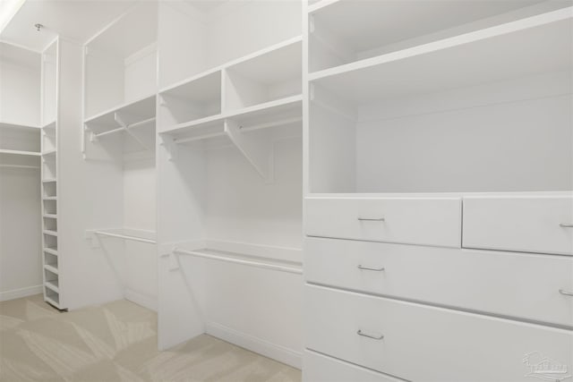 13555 Sandy Key Dr Ph, Ph, Perdido Key, FL 32507 - walk in closet with light carpet