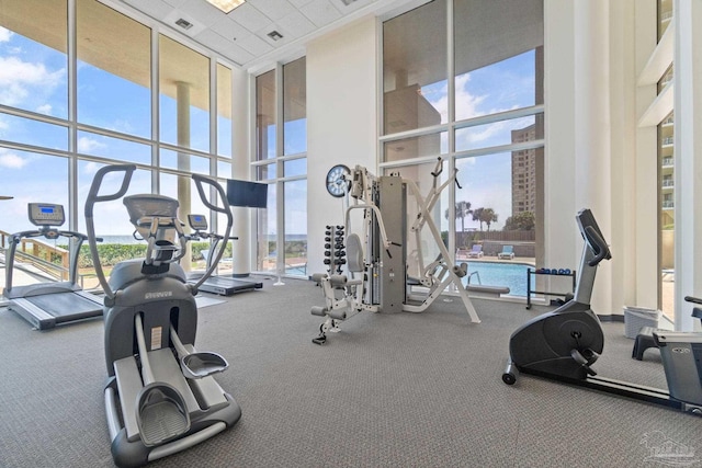 workout area featuring floor to ceiling windows, a high ceiling, and carpet flooring