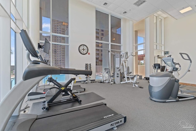 13555 Sandy Key Dr Ph, Ph, Perdido Key, FL 32507 - exercise room with a towering ceiling and visible vents