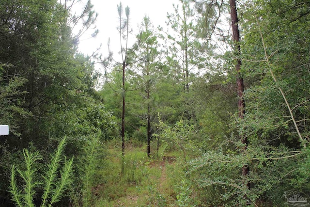 Listing photo 3 for 2610 Sorrel Ridge Rd, Crestview FL 32536