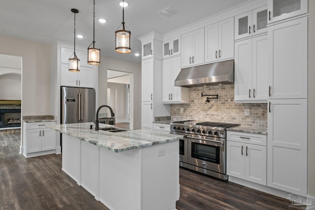 kitchen with tasteful backsplash, a sink, under cabinet range hood, high quality appliances, and dark wood-style flooring