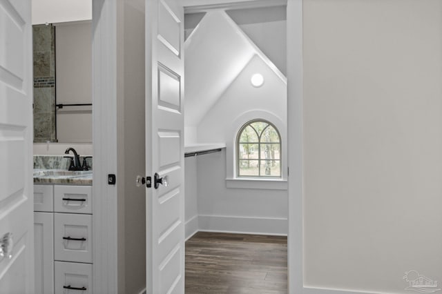 spacious closet with vaulted ceiling, dark wood-style flooring, and a sink